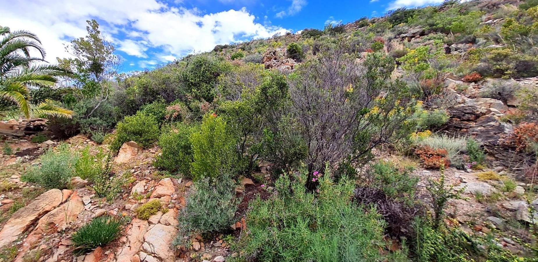 Montagu Little Sanctuary - Free Hot Spring Access - For June And July Δωμάτιο φωτογραφία