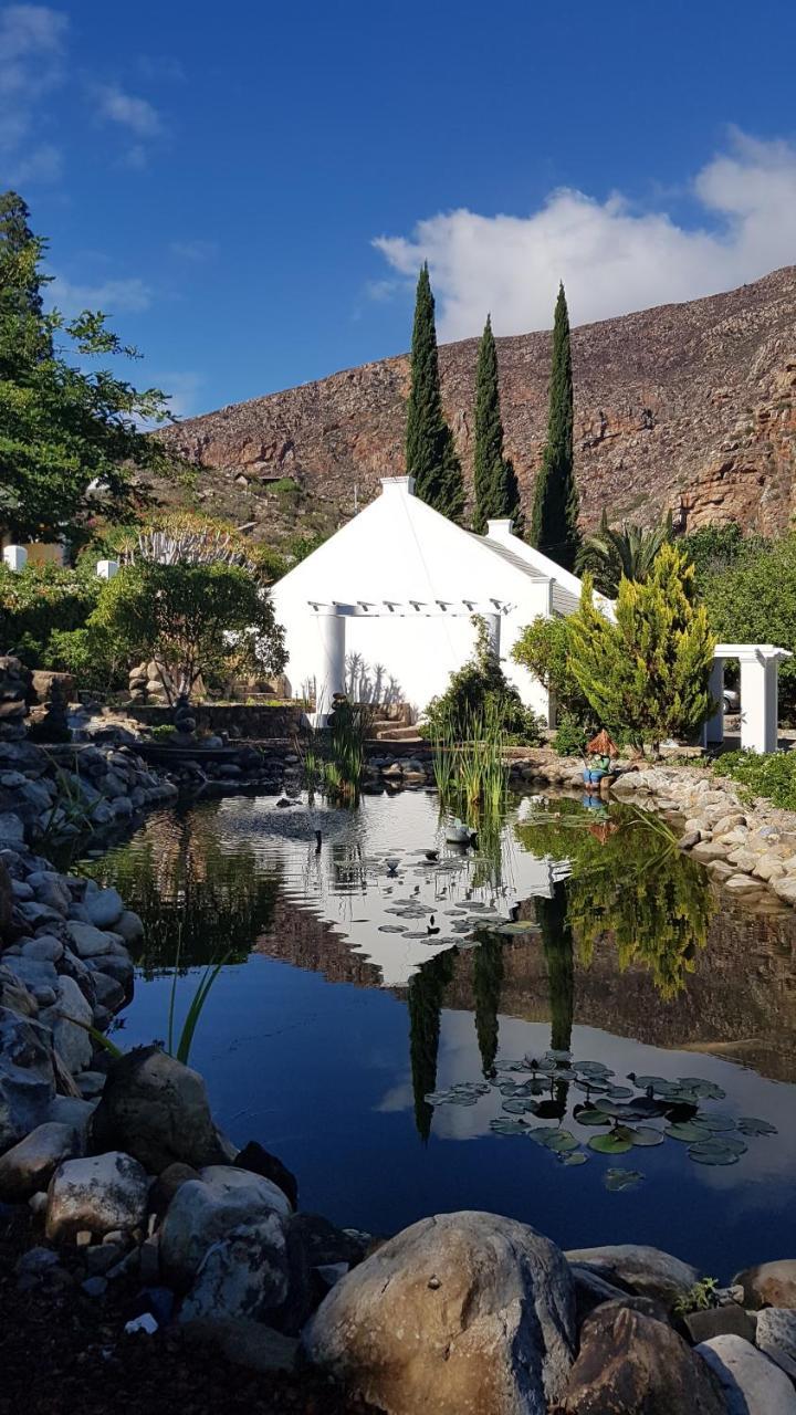 Montagu Little Sanctuary - Free Hot Spring Access - For June And July Εξωτερικό φωτογραφία