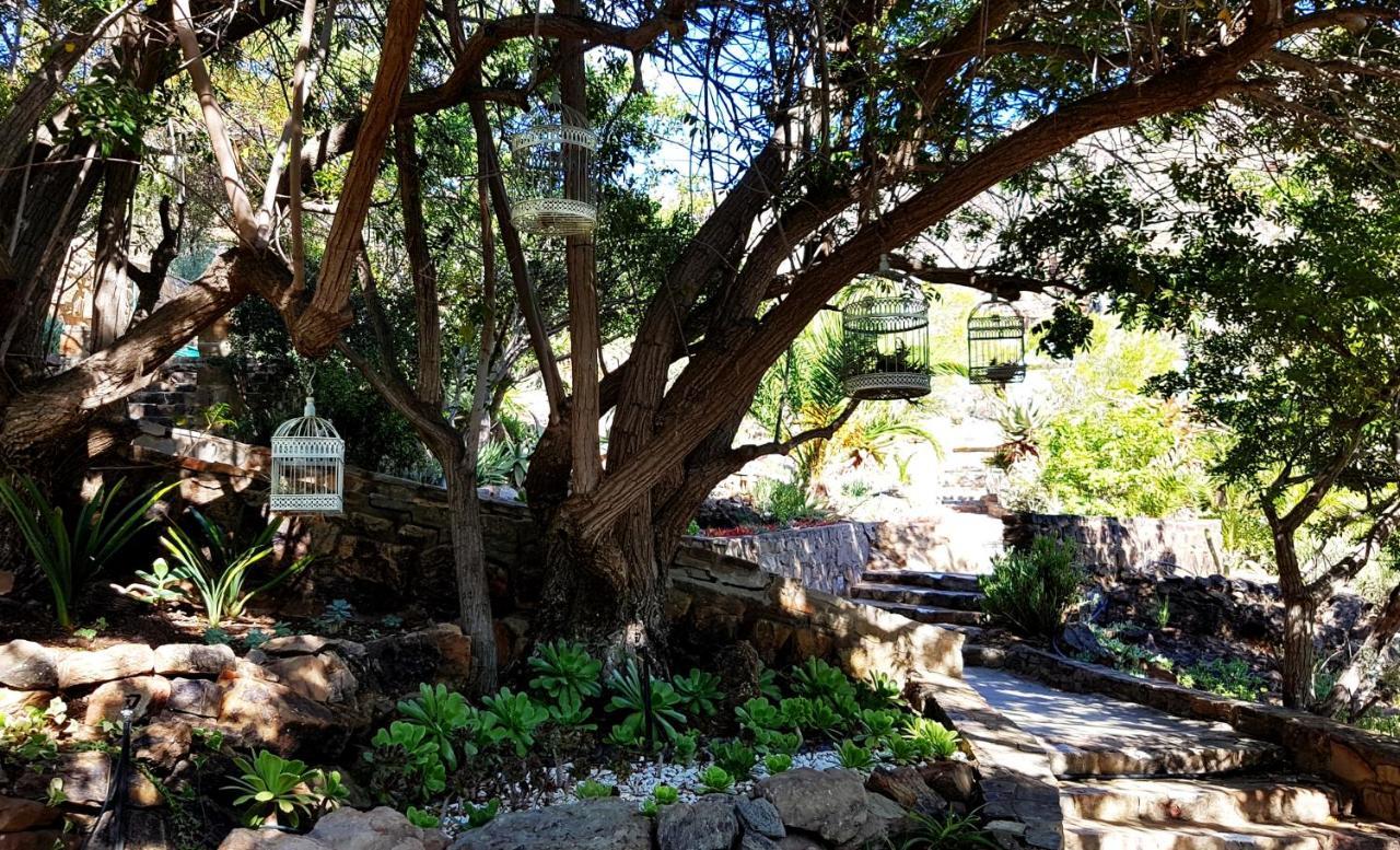 Montagu Little Sanctuary - Free Hot Spring Access - For June And July Εξωτερικό φωτογραφία