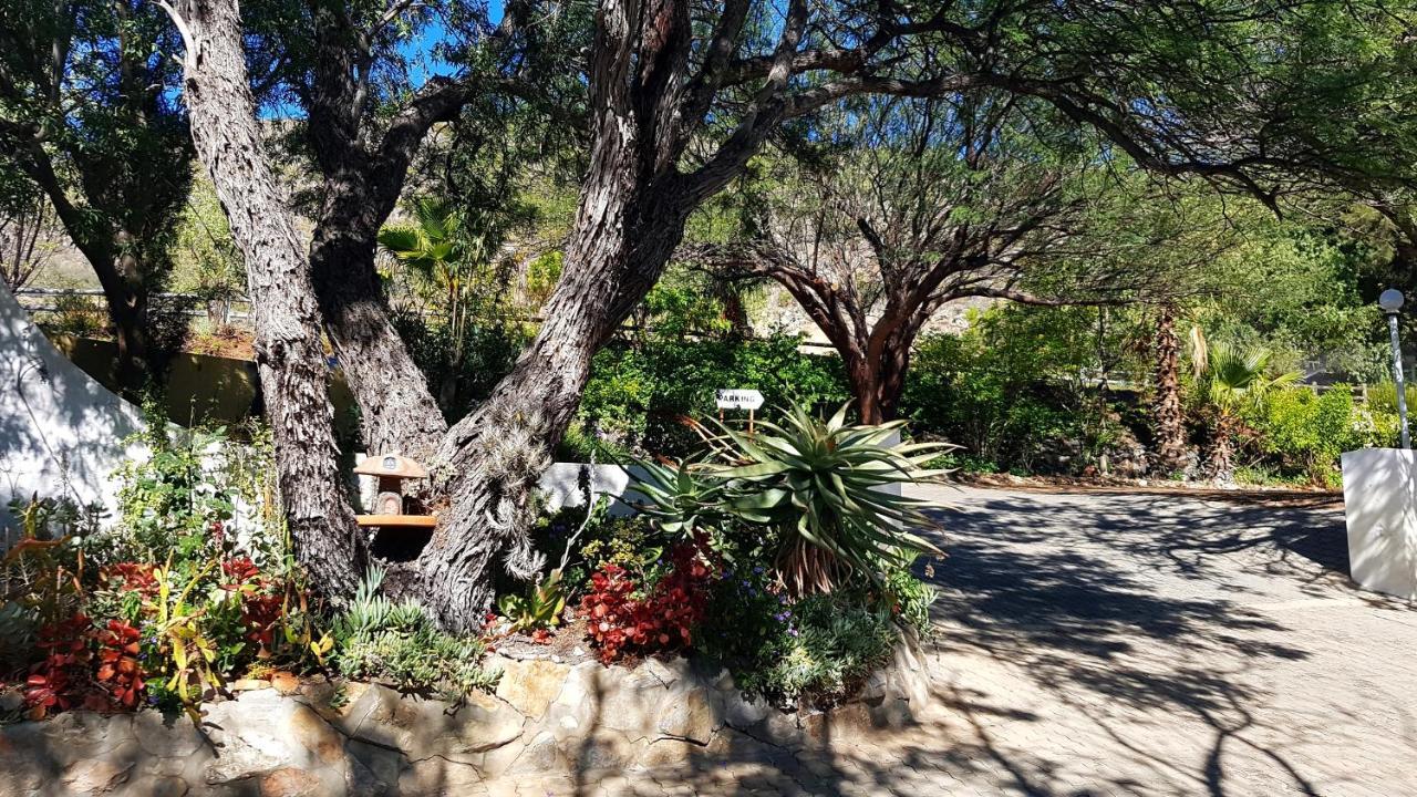 Montagu Little Sanctuary - Free Hot Spring Access - For June And July Εξωτερικό φωτογραφία