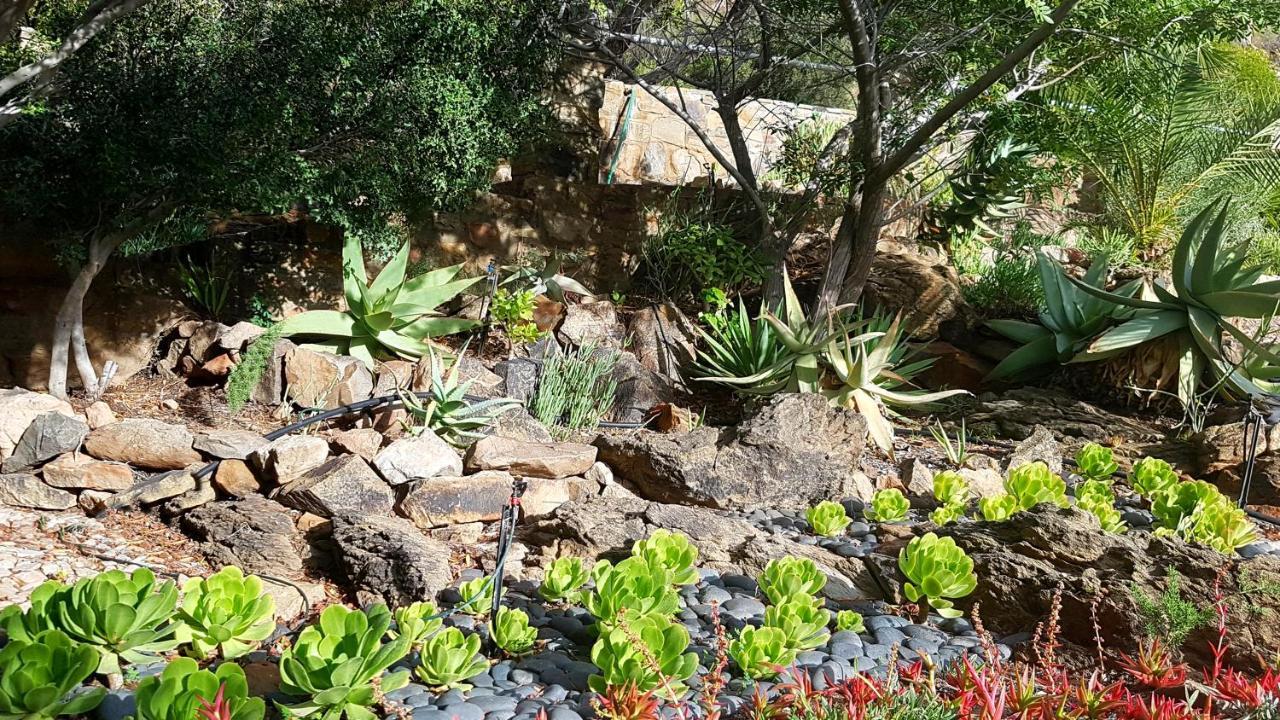 Montagu Little Sanctuary - Free Hot Spring Access - For June And July Εξωτερικό φωτογραφία